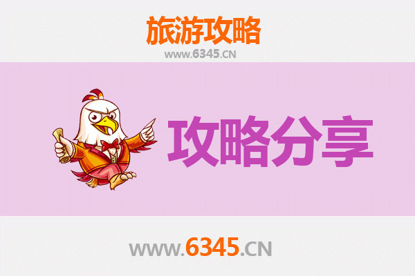定西陇西旅游攻略：跟团与自由行深度对比